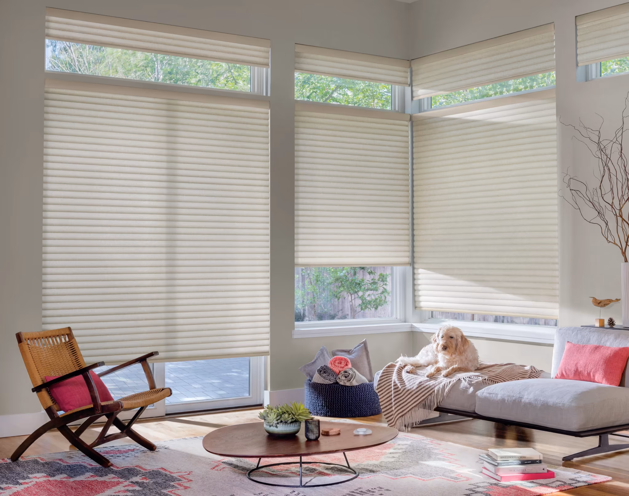Whisper-quiet Palladiom shade drive detail operating at 35 dBA, Bay Blinds Marin County CA